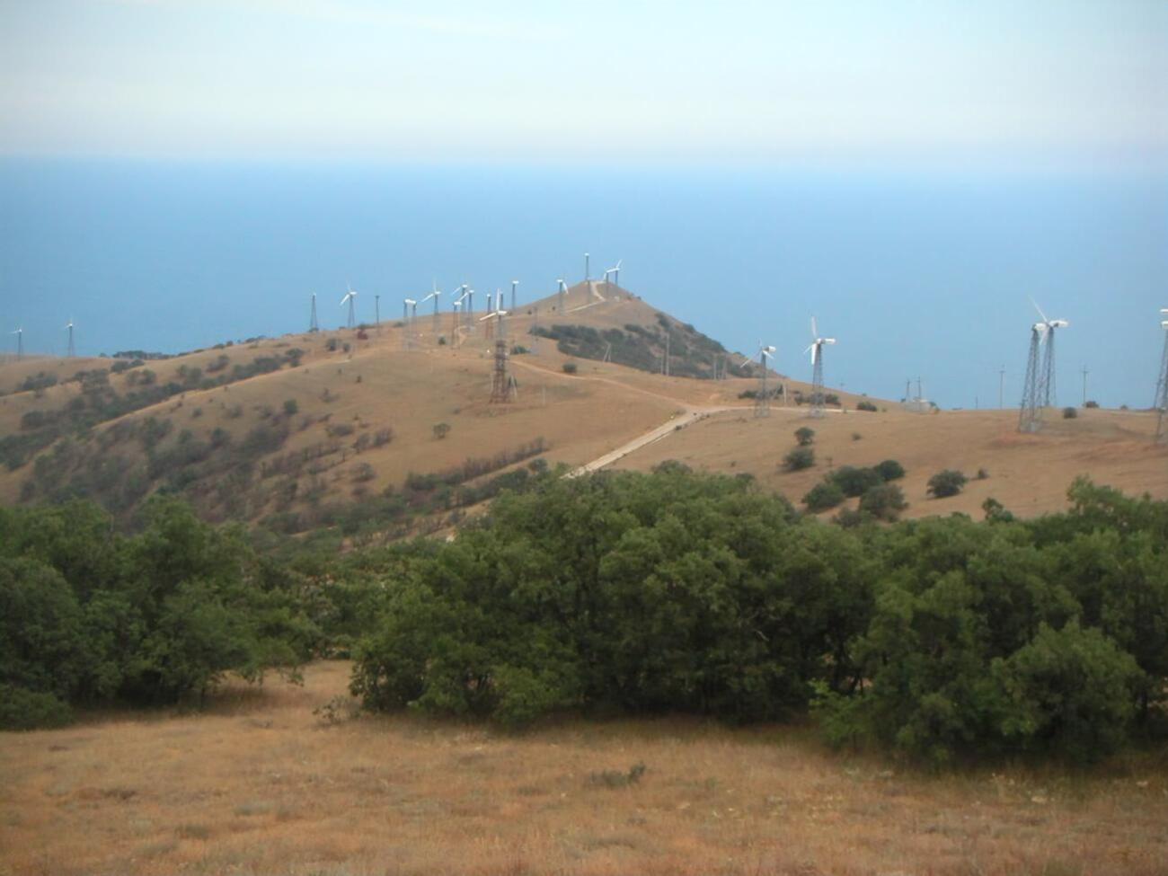 В компании отдельно отметили, что объектом спора является Донузлавская ветряная электростанция в оккупированном Крыму