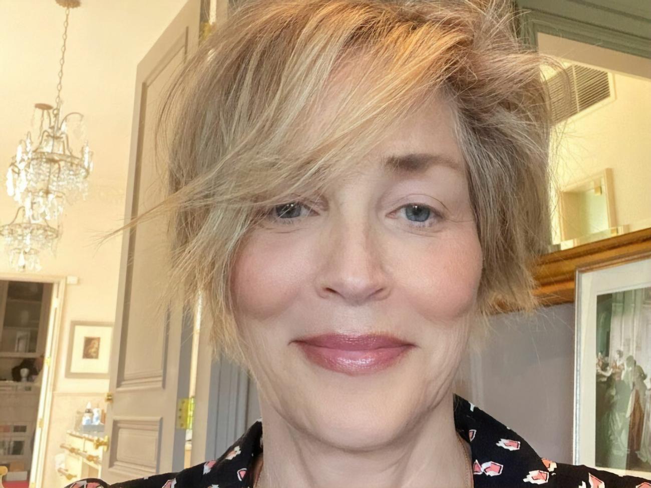 Стоун стала известна после съемок в фильме "Основной инстинкт"