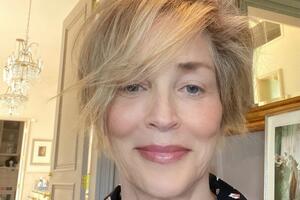 Стоун стала відомою після знімання у фільмі "Основний інстинкт"