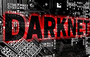 Платформа Boystown действовала в DarkNet с июня 2019 года