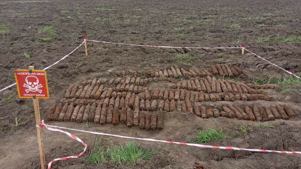 Боєприпаси виявили у Звенигородському районі