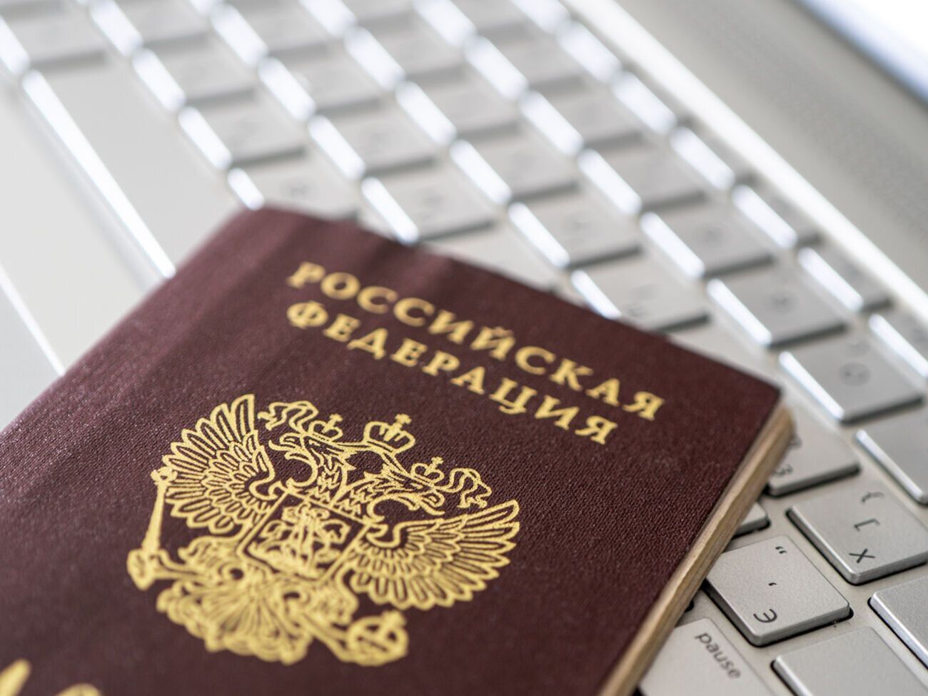 В Литве отметили, что&nbsp;выданные в ОРДЛО российские паспорта не признаются международным сообществом