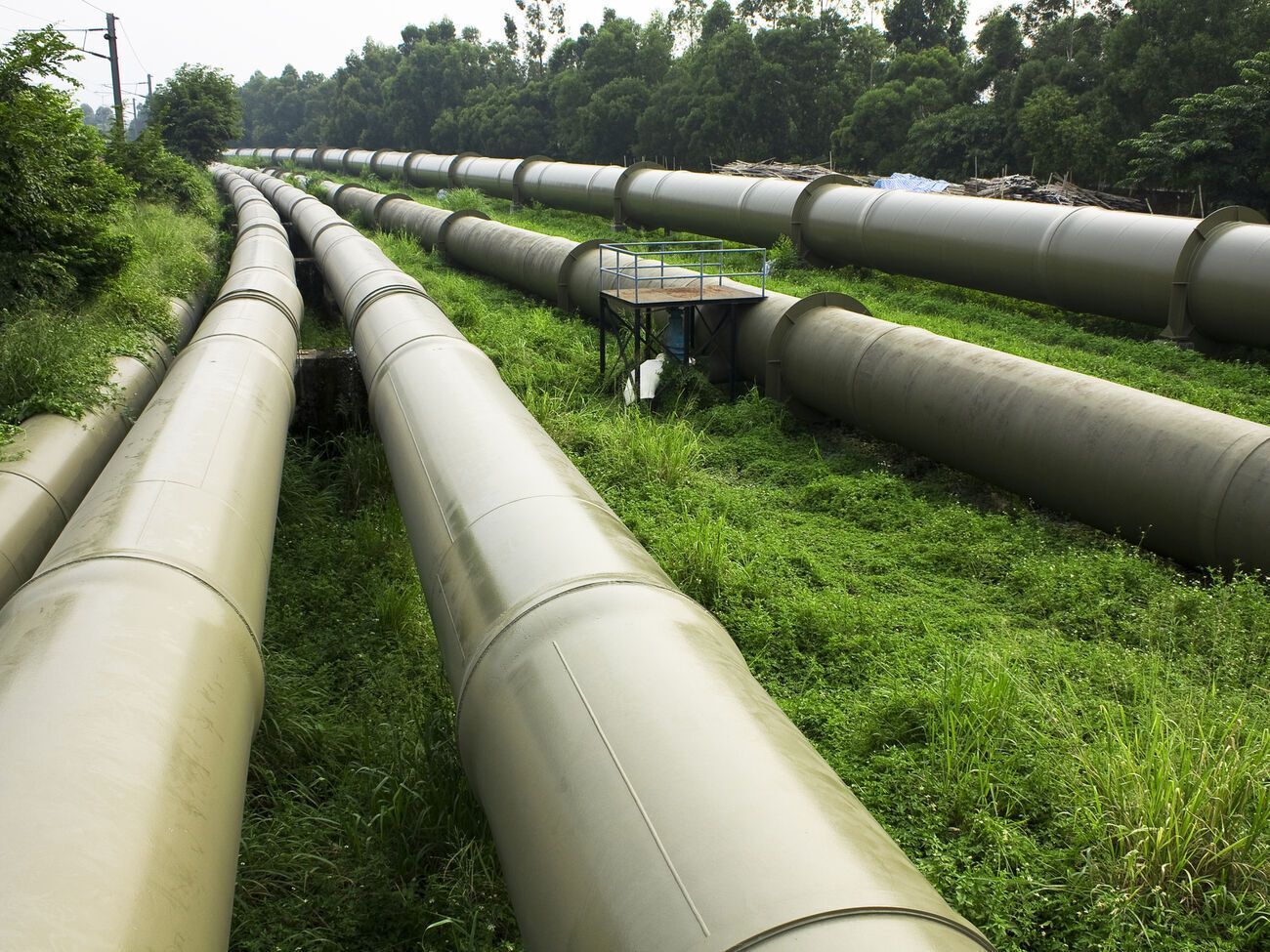 Экс-замдиректора научно-исследовательского института&nbsp;подозревают в злоупотреблении служебными полномочиями и в составлении ложного заключения эксперта в суде