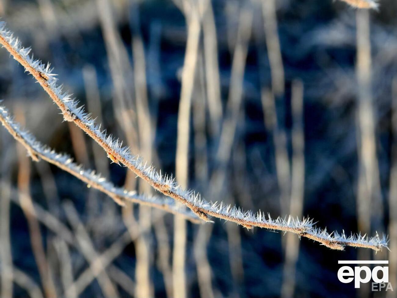 В Украине ожидаются заморозки до&nbsp;-4 &deg;C