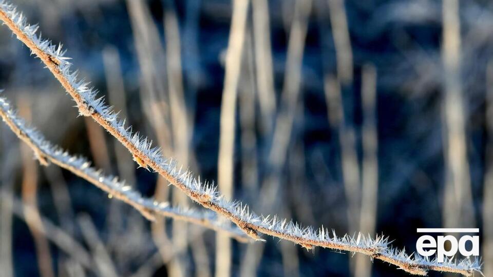 В Украине ожидаются заморозки до -4 °C