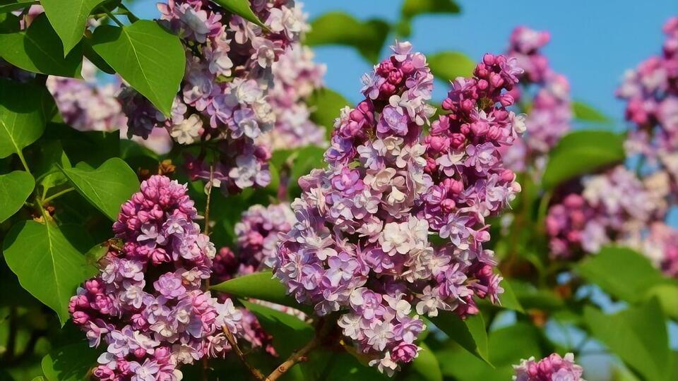 На западе страны синоптики прогнозируют до +24 °C