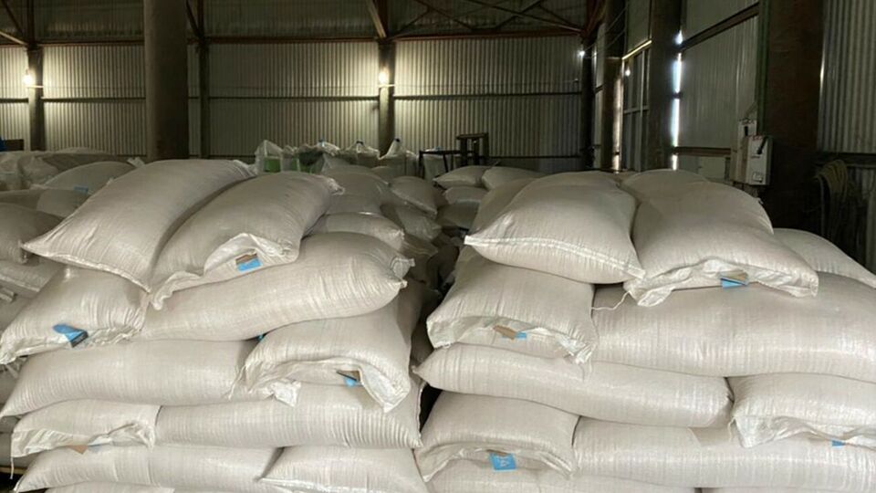 Госагропредприятие нелегально торговало выращенной сельхозпродукцией, отметили в СБУ