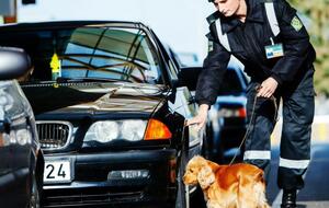 О причинах задержек в движении транспорта в ГПСУ не сообщили