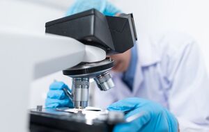 Крошечные животные вернулись к жизни и начали размножаться после 24 тыс. лет в вечной мерзлоте Сибири