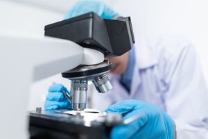 Крошечные животные вернулись к жизни и начали размножаться после 24 тыс. лет в вечной мерзлоте Сибири