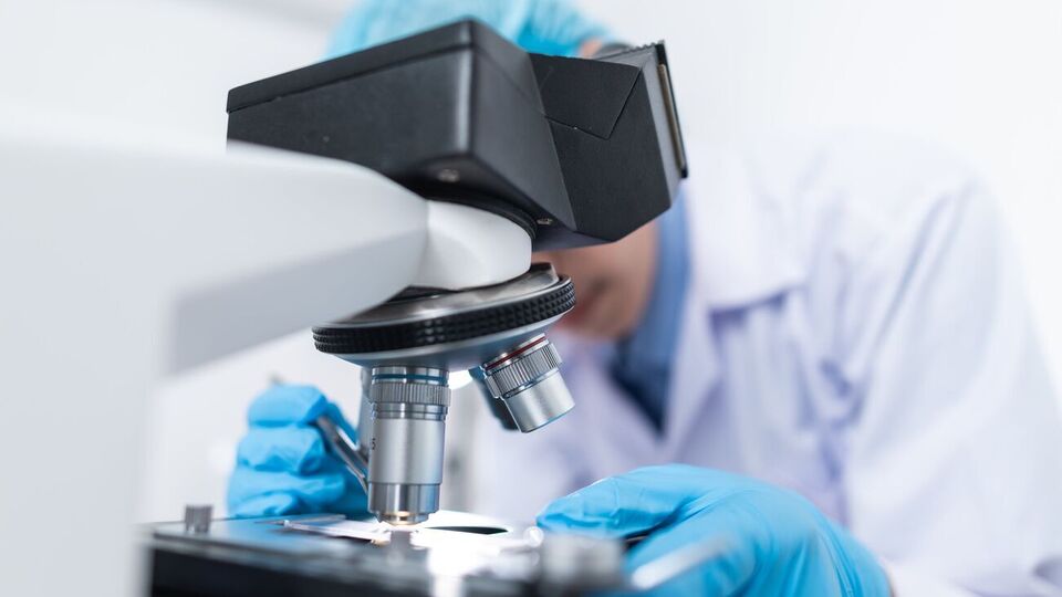 Крошечные животные вернулись к жизни и начали размножаться после 24 тыс. лет в вечной мерзлоте Сибири