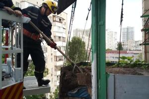 Господар балкона в багатоповерховому будинку наповнив його землею й влаштував грядку
