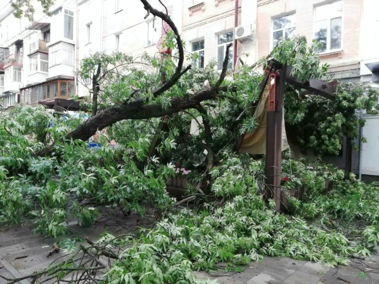 Во время происшествия никто не пострадал