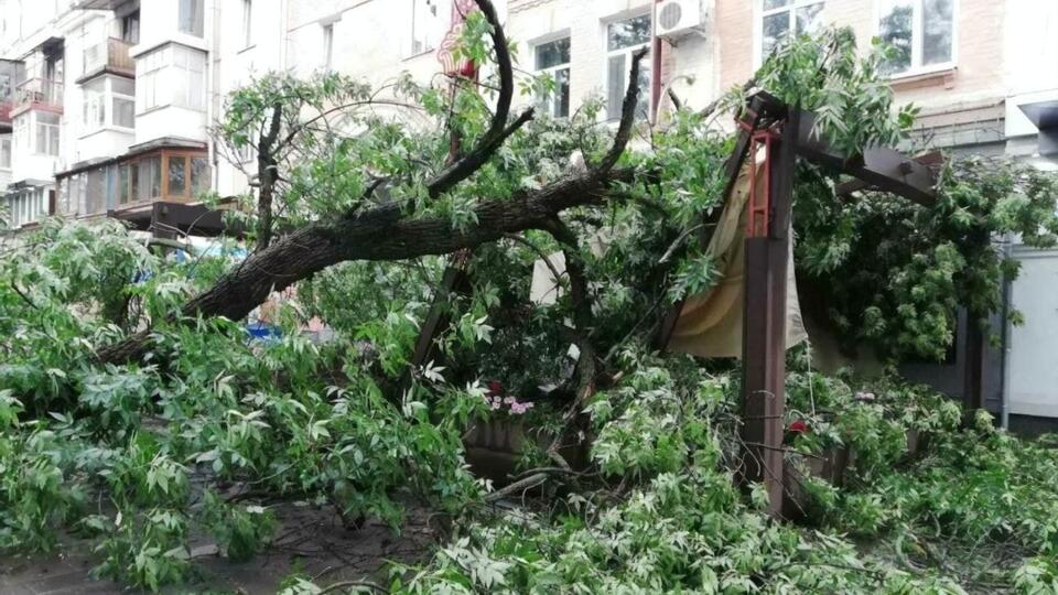 Во время происшествия никто не пострадал