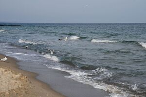 Через опади в акваторію пляжів потрапили поверхневі води
