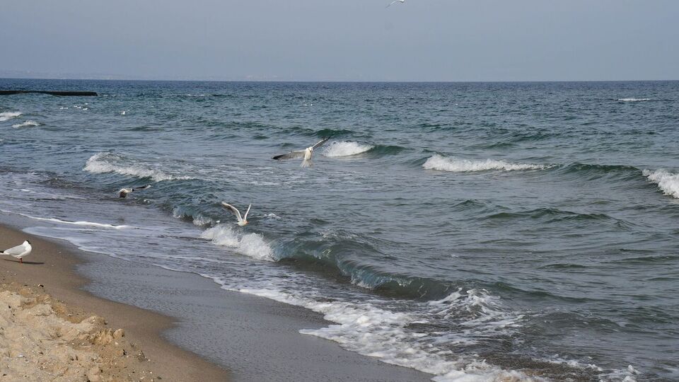 Из-за осадков в акваторию пляжей попали поверхностные воды