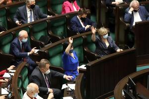 Проти резолюції проголосував лише один депутат