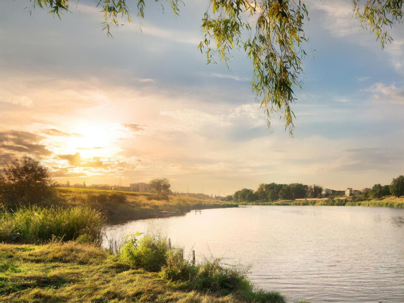 Дети купались в пруду на территории поселка без присмотра взрослых