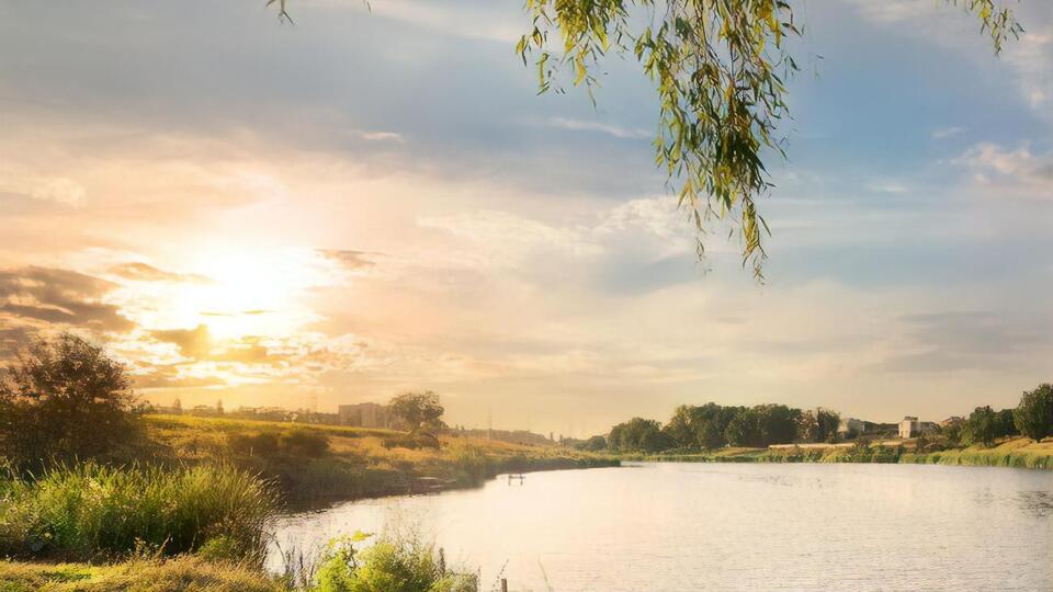 Дети купались в пруду на территории поселка без присмотра взрослых