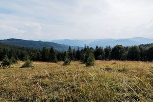 Як зазначають у Мінприроди з посиланням на науковців, уже протягом найближчих 30–40 років великим територіям України загрожує опустелювання