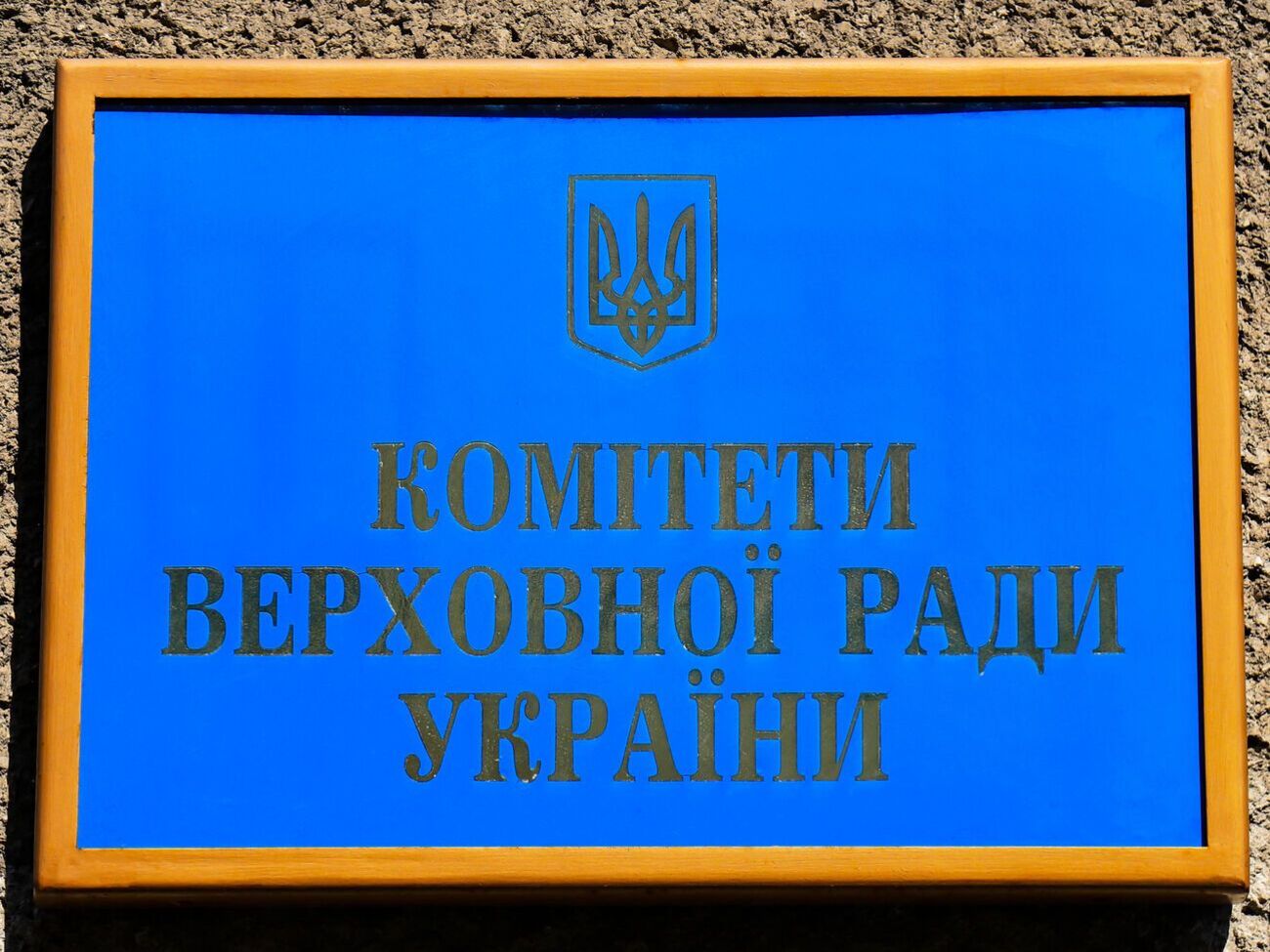 Комітет рекомендував додати законопроєкт до порядку денного Ради й ухвалити його в першому читанні