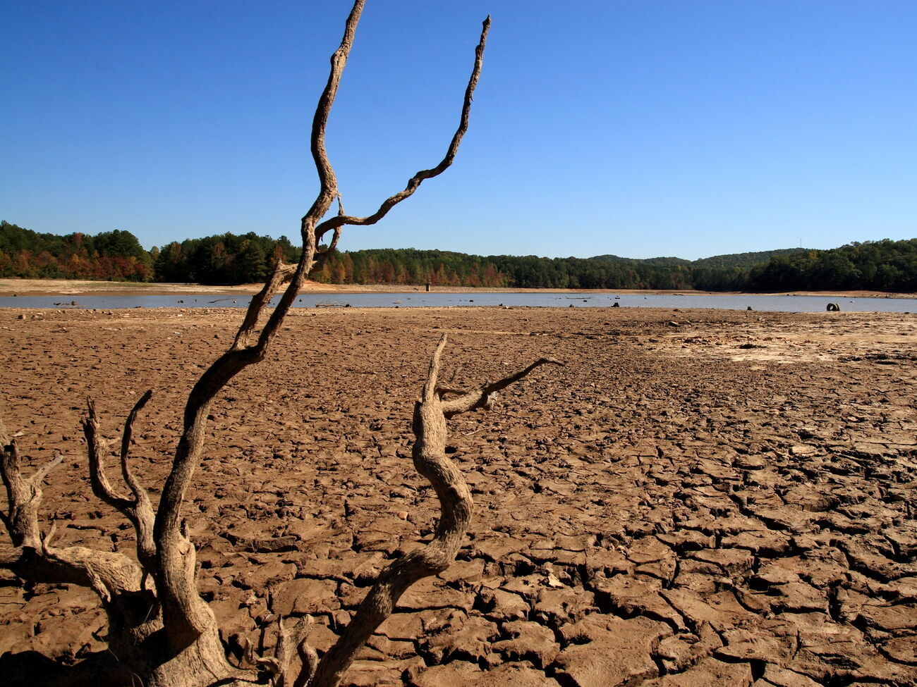 В ООН вважають, що посуха "ось-ось стане наступною пандемією"