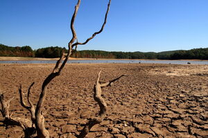 В ООН вважають, що посуха "ось-ось стане наступною пандемією"