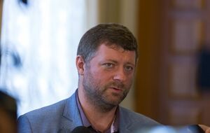Корниенко полагает, что документ появится через несколько недель