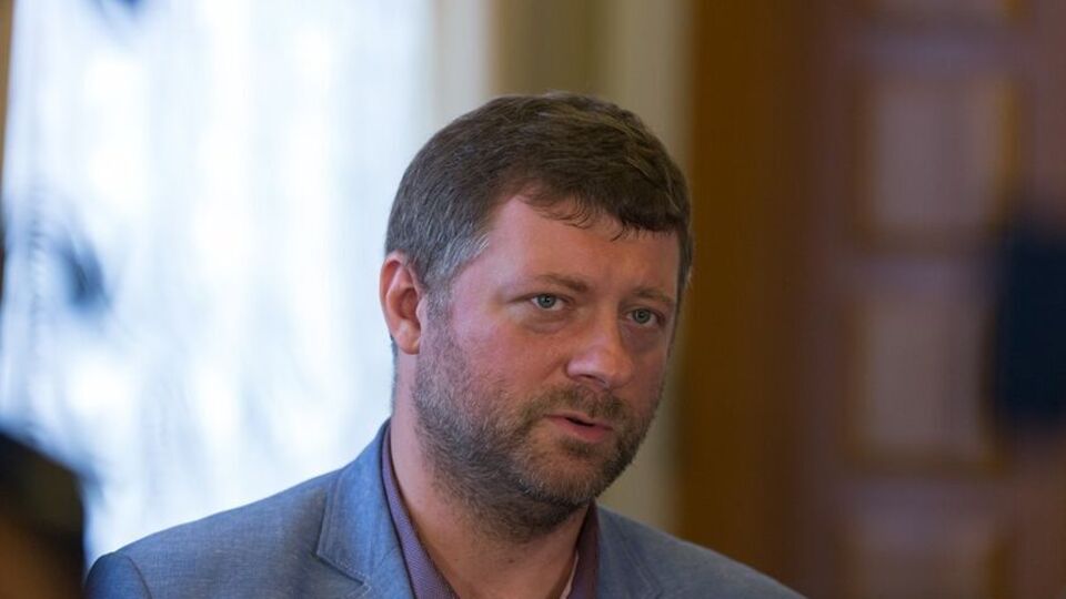 Корнієнко вважає, що документ з'явиться за кілька тижнів