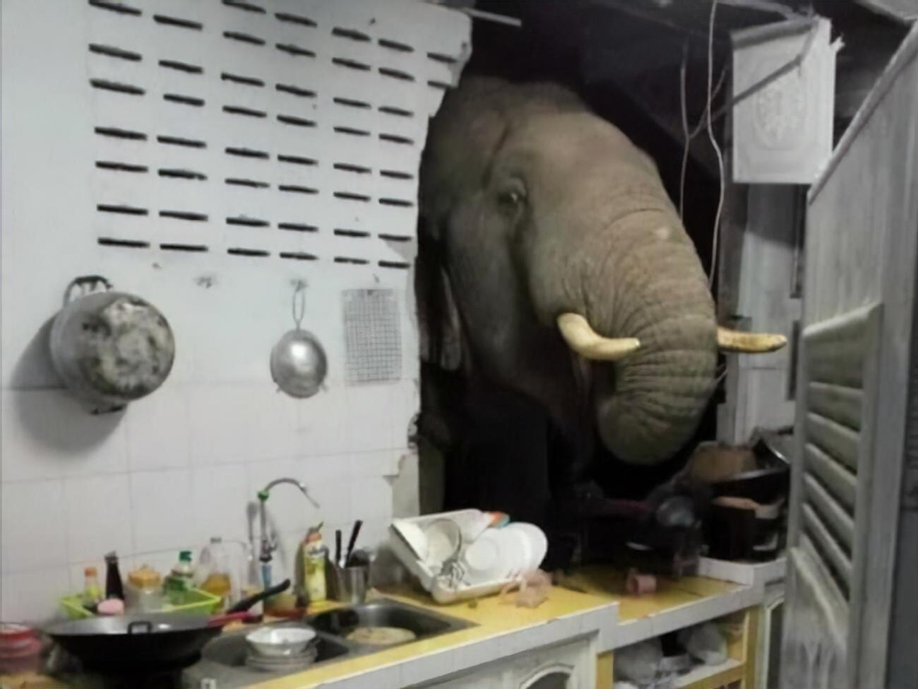 Вартість збитків становить понад $1,5 тис.