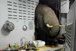 Вартість збитків становить понад $1,5 тис.