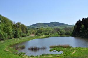 На водоемах за выходные утонуло шестеро детей
