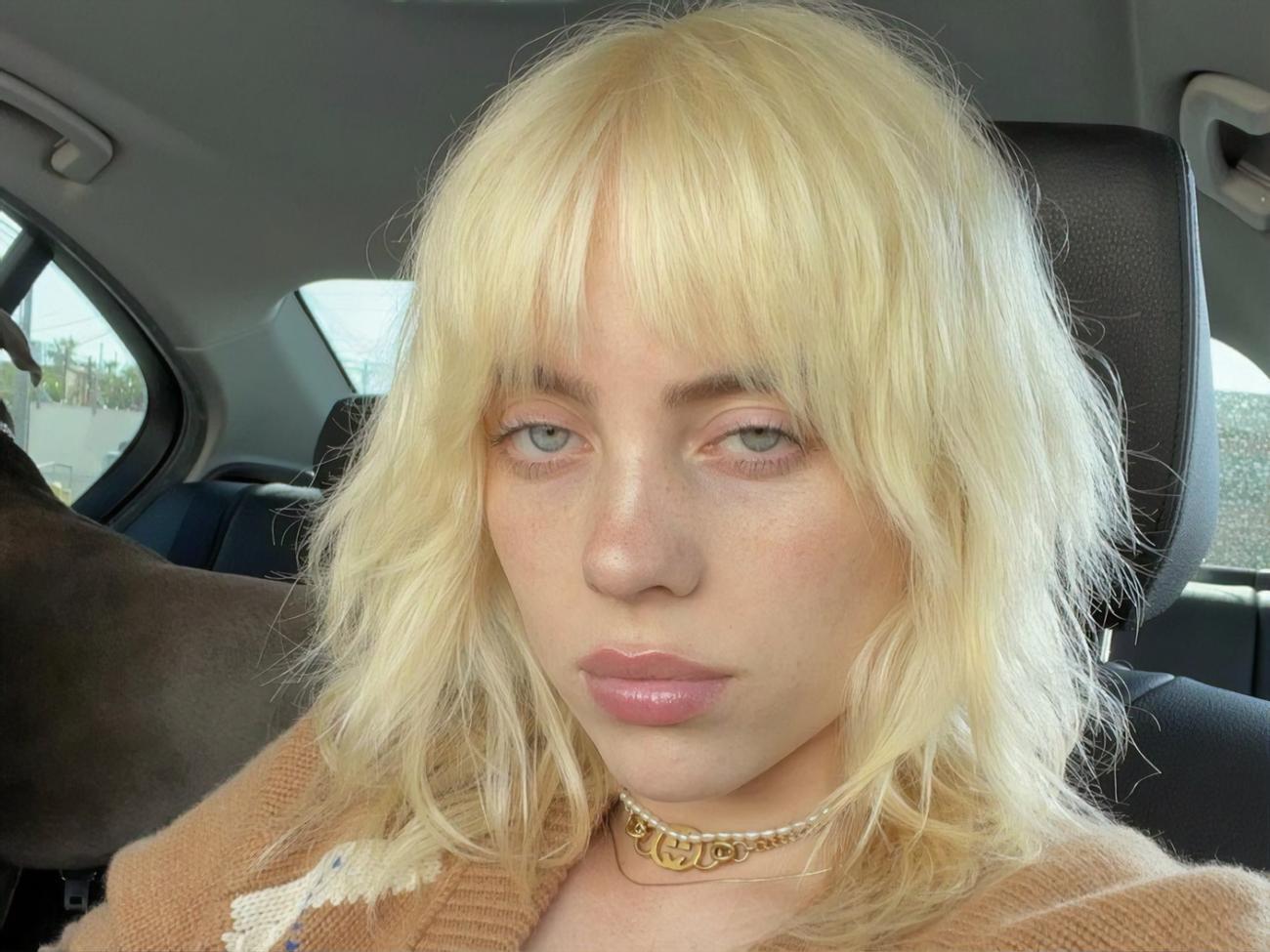 Біллі Айліш: Незалежно від мого невігластва і тодішнього віку, ніщо не змінить того, що це може завдати болю