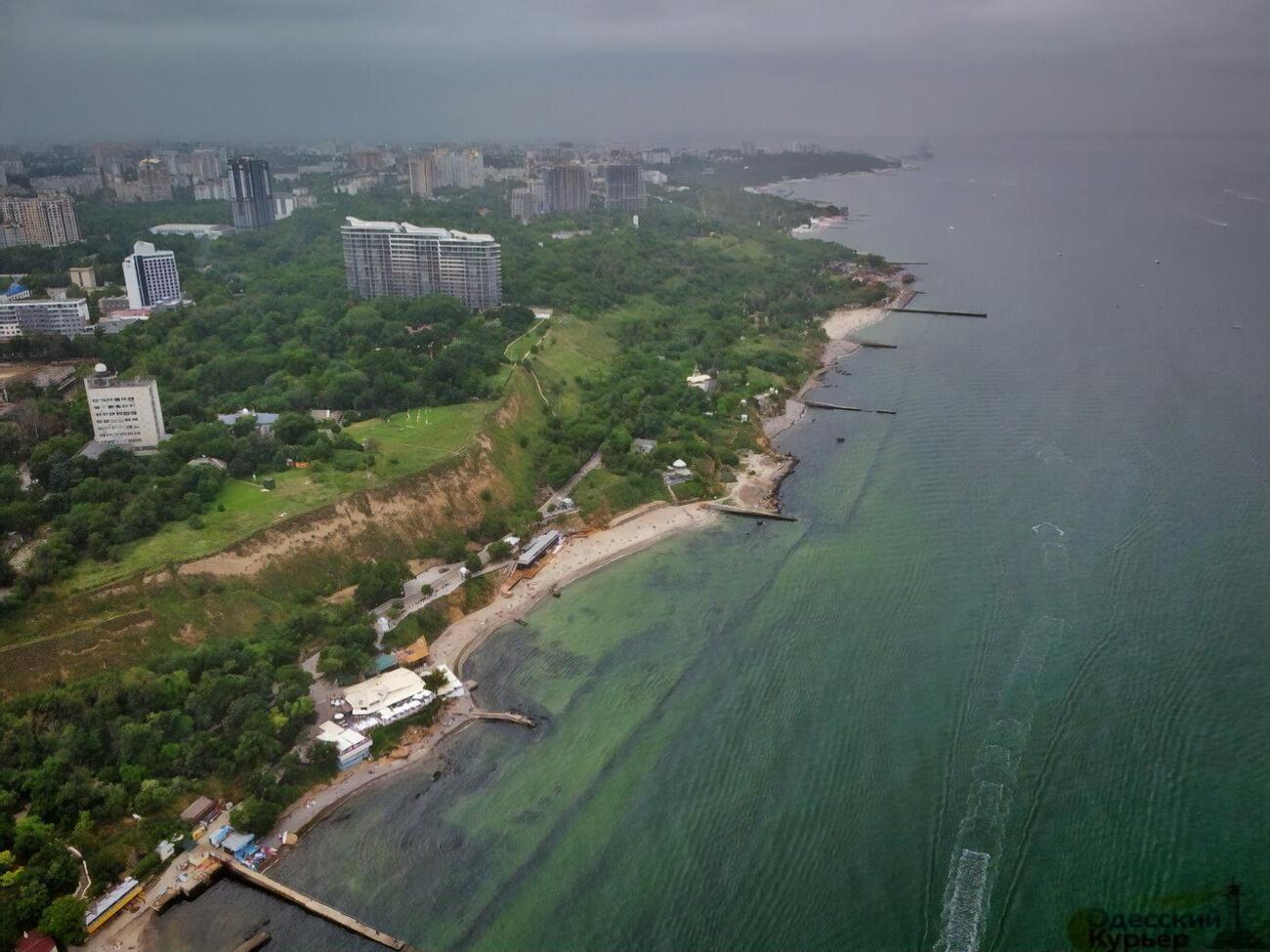 Позеленевшая вода может быть токсичной, предупредила гидробиолог