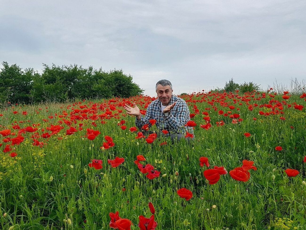 Комаровський: Прийшла спека, а разом зі спекою підросла полуниця