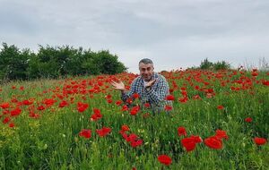 Комаровский: Пришла жара, а вместе с жарой подросла клубника