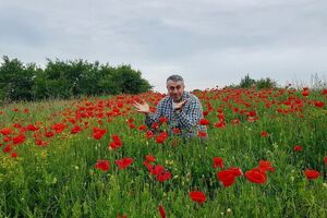 Комаровський: Прийшла спека, а разом зі спекою підросла полуниця