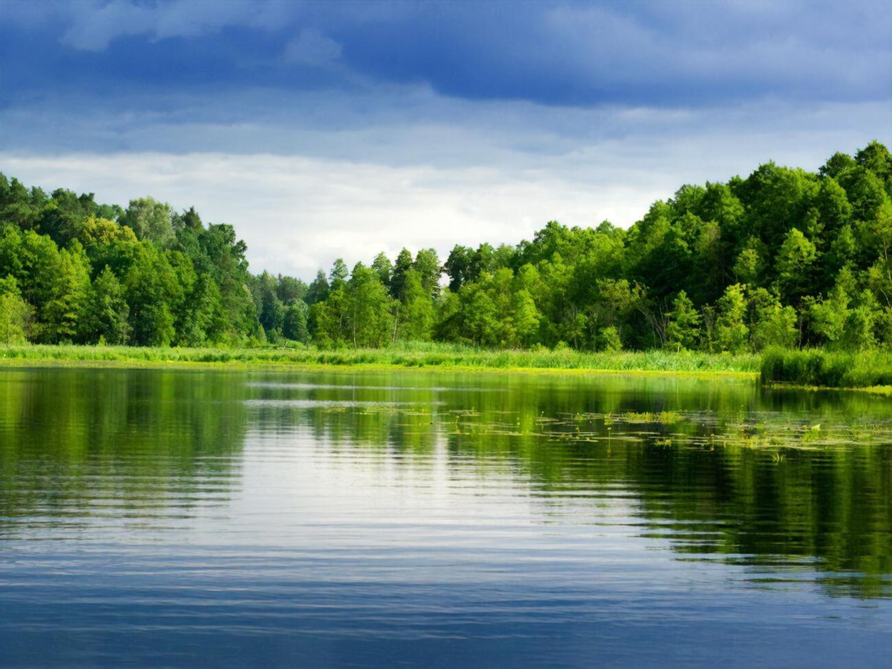 Серед загиблих на водоймах від початку року &ndash; 53 дитини