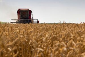 У 2020 році агропідприємства України збільшили свій прибуток у півтора раза, до 58,5 млрд грн