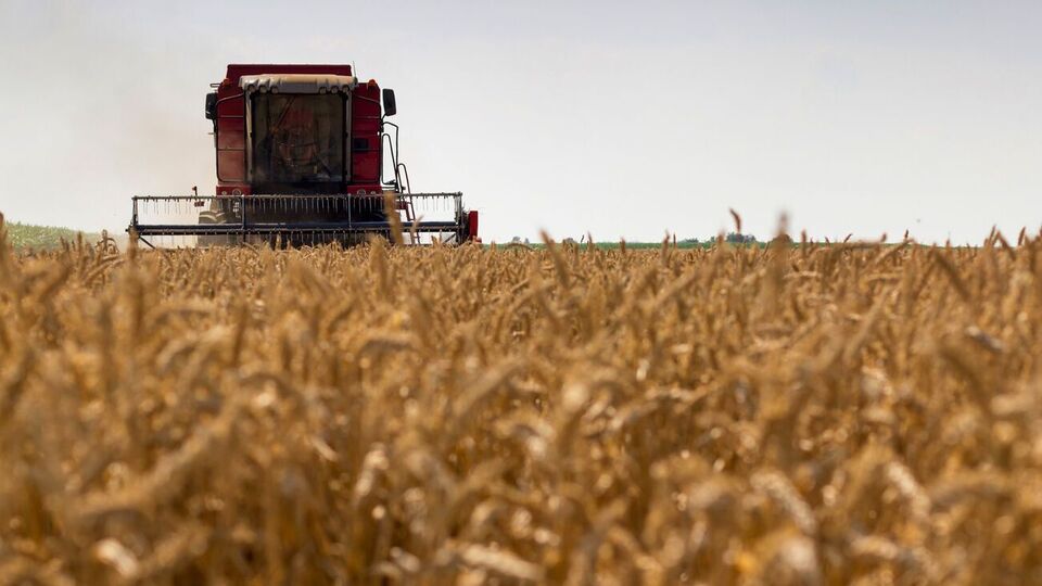 У 2020 році агропідприємства України збільшили свій прибуток у півтора раза, до 58,5 млрд грн