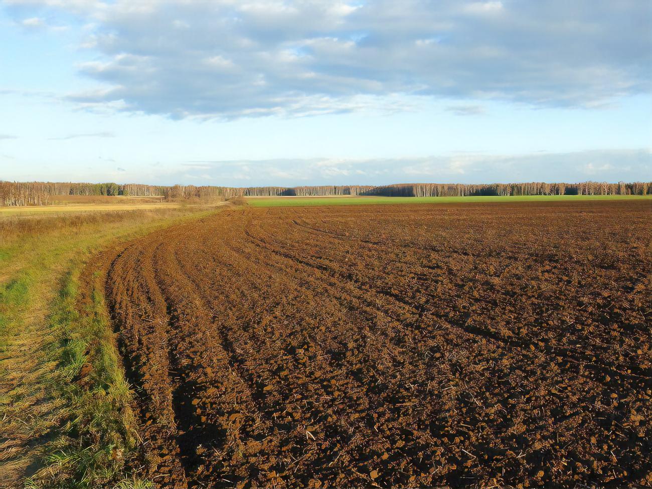 Спікер і президент зможуть підписати закон, який завершить земельну реформу