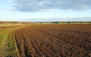 Спикер и президент смогут подписать закон, завершающий земельную реформу