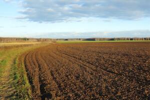 Спікер і президент зможуть підписати закон, який завершить земельну реформу