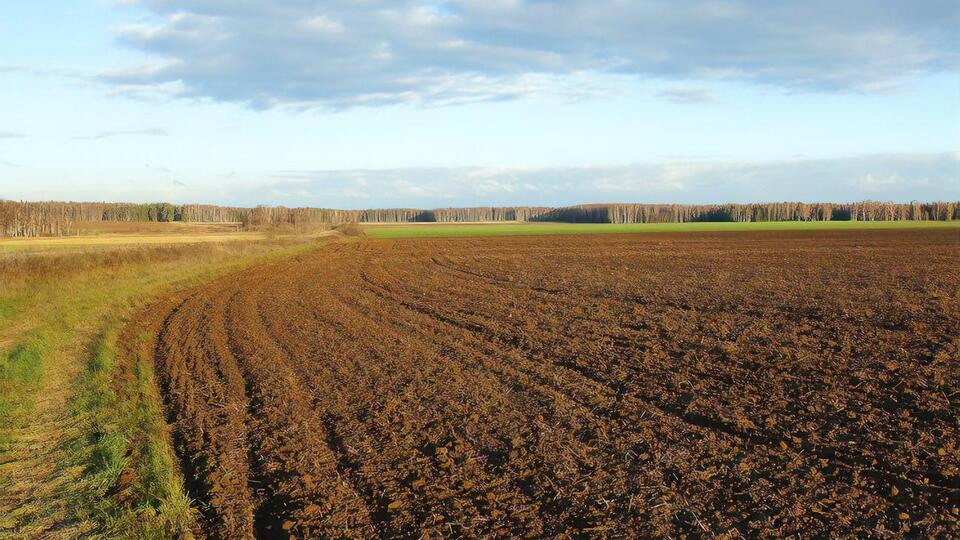 Спікер і президент зможуть підписати закон, який завершить земельну реформу