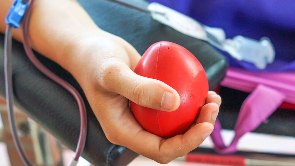 В приказ о критериях донорства внесли изменения