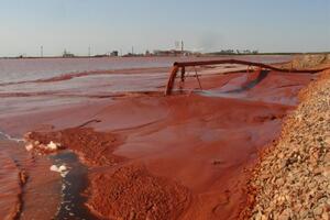Згідно з висновками експертизи Київського науково-дослідного інституту судових експертиз, відходи червоного шламу негативно впливають на довкілля, життя і здоров'я людини