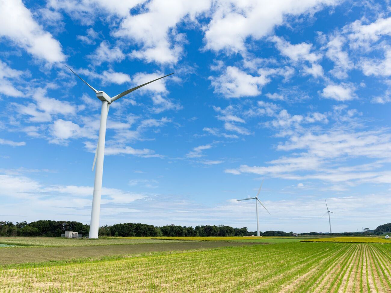 В Украине идет процесс монополизации отрасли возобновляемой энергетики, отметил&nbsp;управляющий проектами Main Group