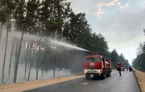 В течение сентября – октября в Луганской области произошло несколько лесных пожаров