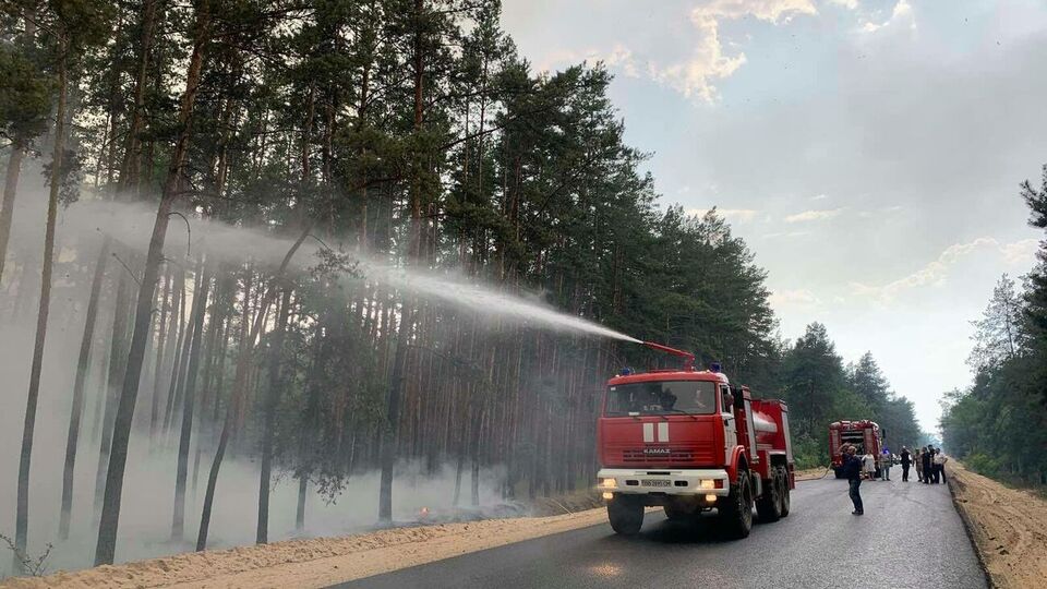 В течение сентября – октября в Луганской области произошло несколько лесных пожаров