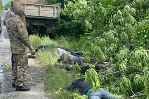 За даними СБУ, п'ятьох фігурантів затримали на гарячому, коли вони намагалися вивезти чергову партію незаконно зрубаної деревини